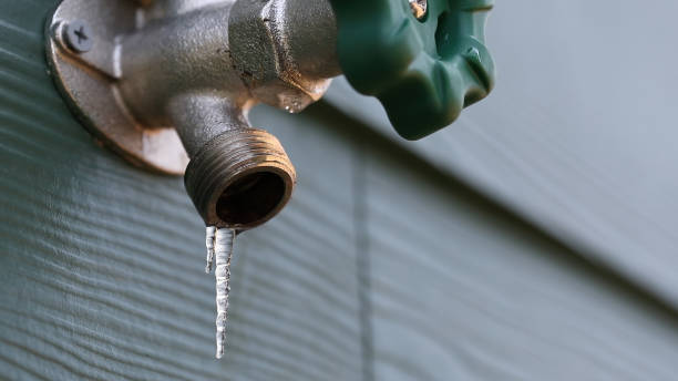 Best Septic Systems  in Taft Mosswood, CA